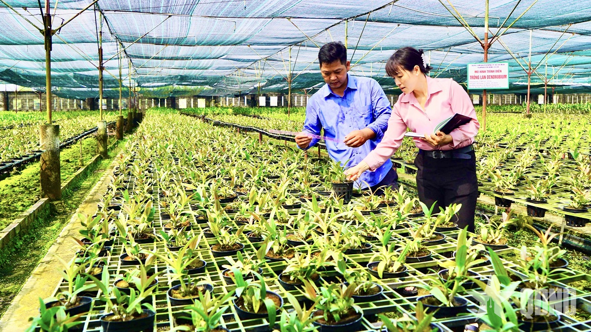 Ứng dụng số - xu hướng tất yếu phát triển nông nghiệp đô thị